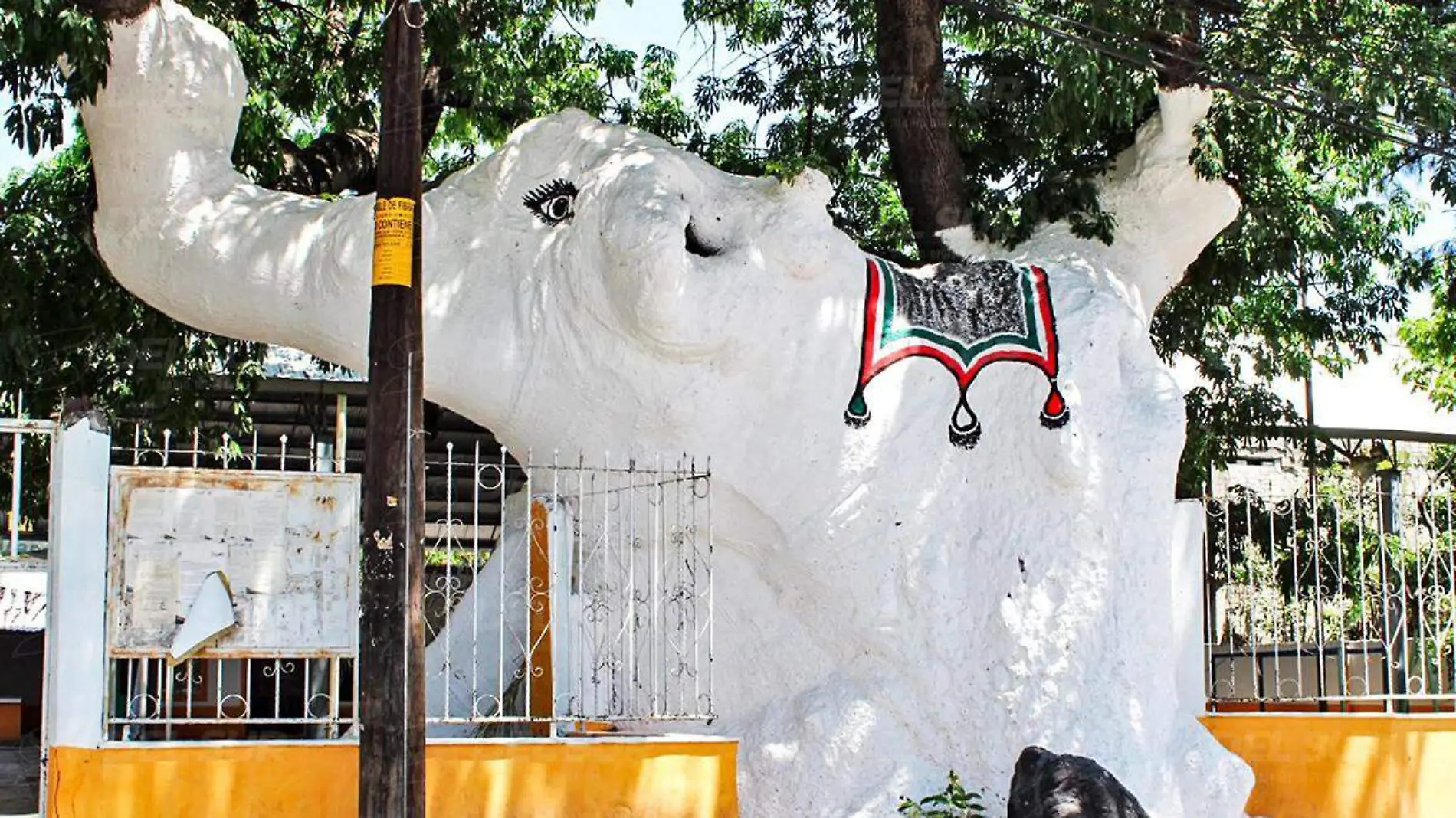 PALO COPADO DE IZUCAR DE MATAMOROS